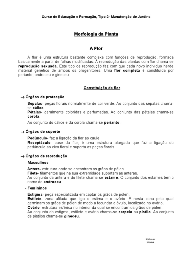 Classificação das Flores e Estruturas | PDF | Flores | Morfologia vegetal