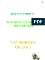 Science Form 2: The World Through Our Senses