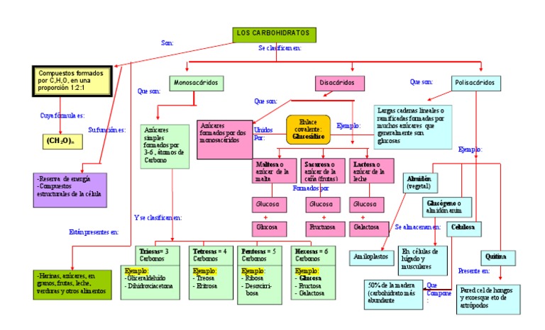 Mapa Conceptual Carbohidratos