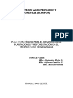 Plan estratégico para el desarrollo de plantaciones y reforestación en Nicaragua