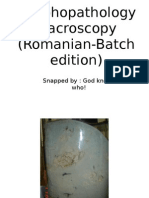 Morphopathology Macroscopy (Romanian-Batch)