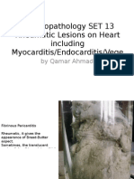 Morphopathology SET 13 Rheumatic Lesions On Heart Including Myocarditis/Endocarditis/Vege