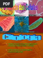 citologia.ppt