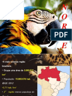 Trabalho Região Norte