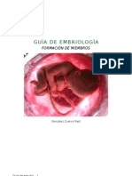 Guía de Embriología. Formación de Extremidades.