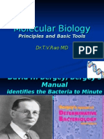 Molecular Biology