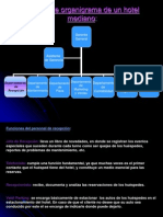 Modelo de Organigrama de Un Hotel Mediano