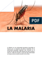 La Malaria