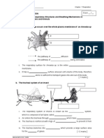 WORKSHEET 7.1 the Respiratory Structures and Breathing Mechanisms in Humans and Animals