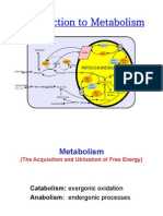1_Metabolism_Metabolic Pathways_160712.pdf
