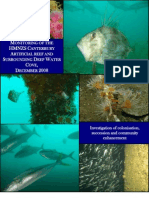 Monitoring of The HMNZS Canterbury Artificial Reef and Surrounding Deep Water Cove, December 2008
