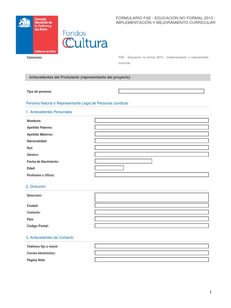 Formulario FAE | PDF | Presupuesto | Gobierno