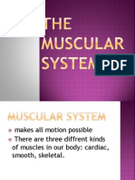 The human body systems