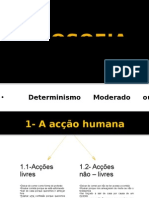 determinismo_moderado[1]