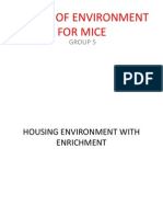 Design of Environment For Mice