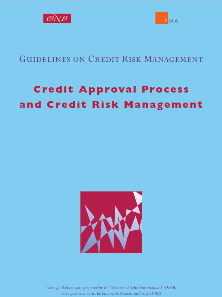 Credit Approval Process Guidelines | PDF | Risk Management | Basel Ii