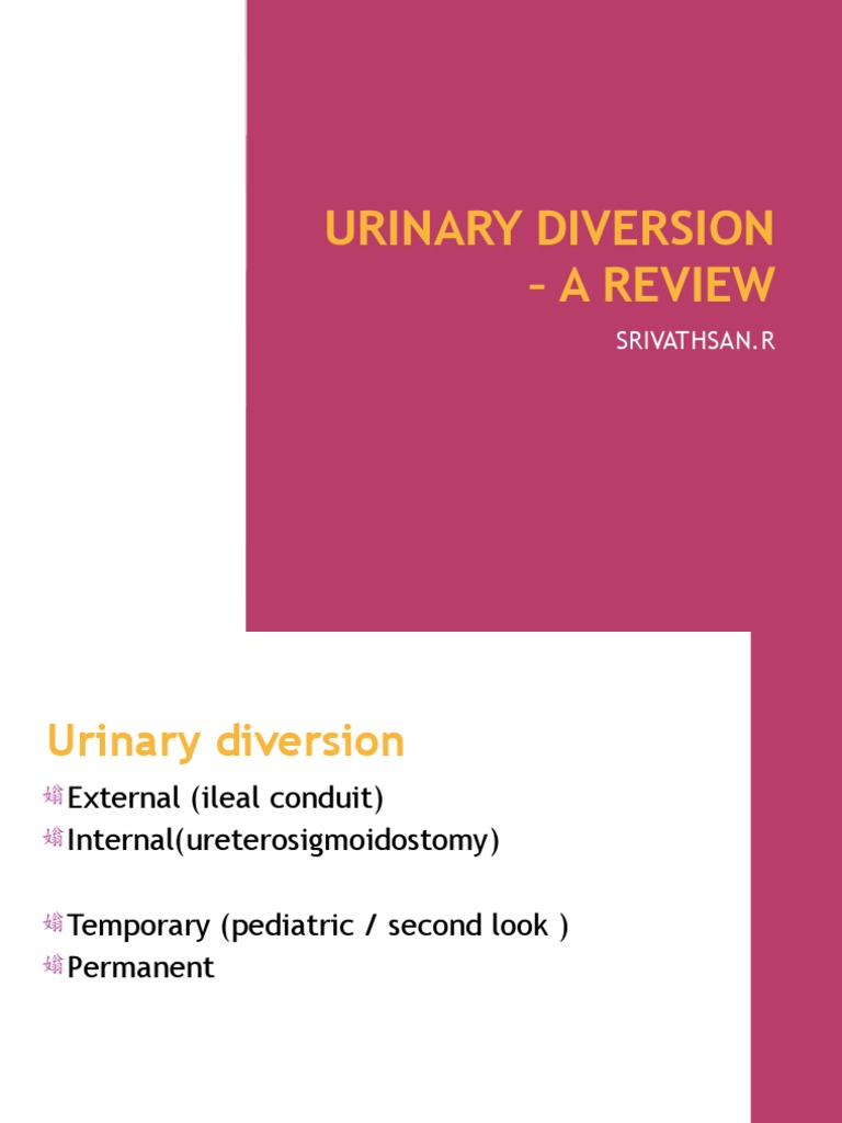 Urinary Diversion PDF Urinary Incontinence Anatomical Terms Of