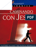 Caminante 1