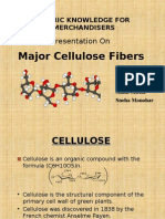 Major Cellulosic Fibres