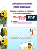 Diapositivas de Frutas y Hortalizas-Palta