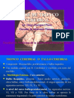 6ta Clase Neuro - Tronco Encefalico - Dr. Enriquez