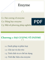 Enzyme Bai Giang