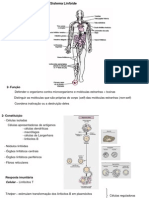 Tecido Linfático