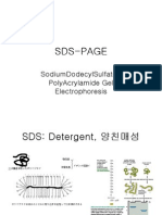SDS-PAGE