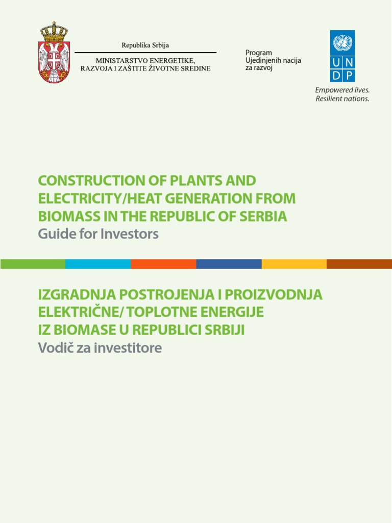 Biomass Plants - Detailed Guide | PDF | Renewable Energy | Biomass