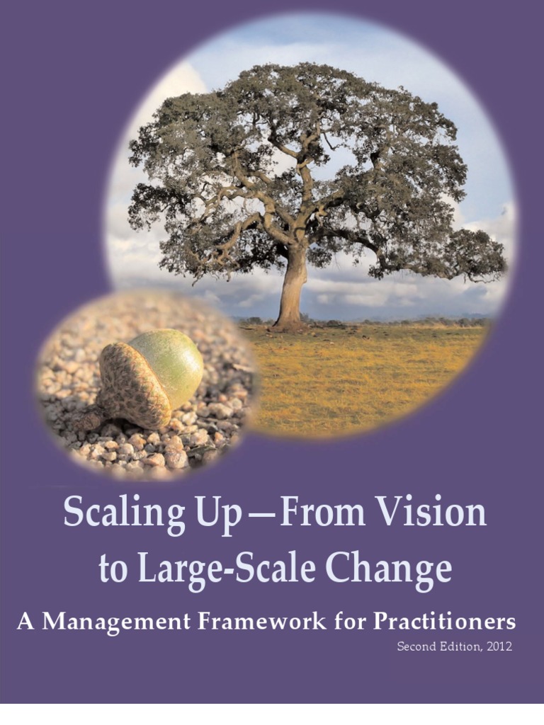 Scaling Up Framework - From Vision To Large-Scale Change | PDF | Non ...