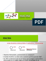 Niacina Vit b6