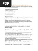 Plan de alimentación para bajar colesterol