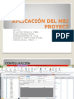 APLICACIÓN DEL MSJ PROYECT