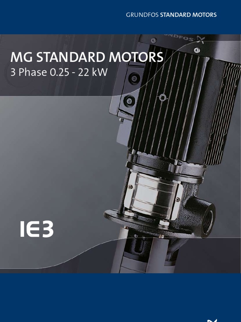 Grundfos Standard Motors Overview | PDF | Electric Motor | Physics
