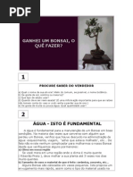 Ganhei Um Bonsai