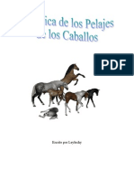 Genética - Pelajes Caballos