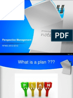 Perspective Management: RPIMS (2012-2014)