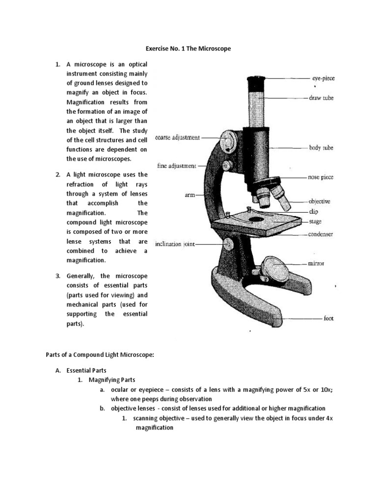 Ex. 1 Parts of A Microscope | PDF | Lens (Optics) | Laboratory Equipment