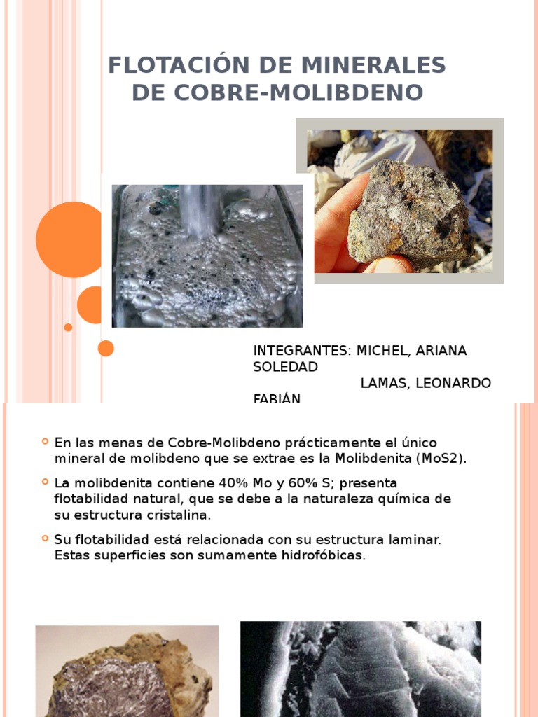 FLOTACIÓN DE MINERALES DE COBREMOLIBDENO