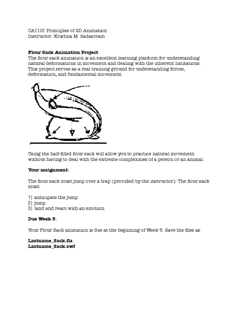Flour Sack Project Analog Animation Mass