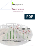 3__framboesa__tecnologias_de_producao