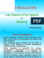 Gene Regulation - Lac Operon & TRP Operon