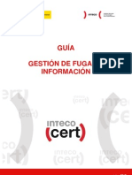 Guia Gestion Fuga Informacion