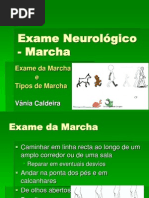 Exame Neurologico Marcha 1200351811988693 2