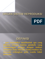 Organ Sistem Reproduksi