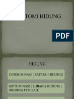 ANATOMI HIDUNG