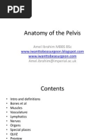 Anatomy of Pelvis