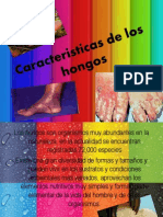 Zcaracteristicas, Taxo y Morfo de Los Hongos