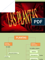Clasificacion de Las Plantas