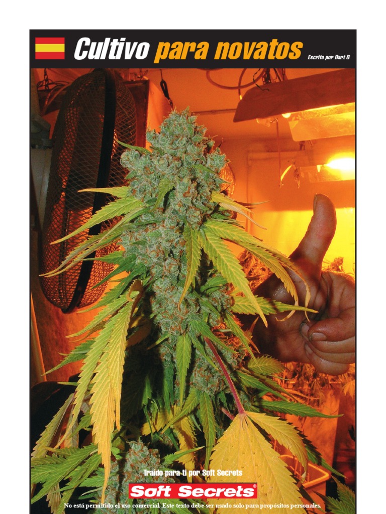 Manual de Cultivo para Novatos - Soft Secret | PDF | Plantas | Flores, image size:768x1024